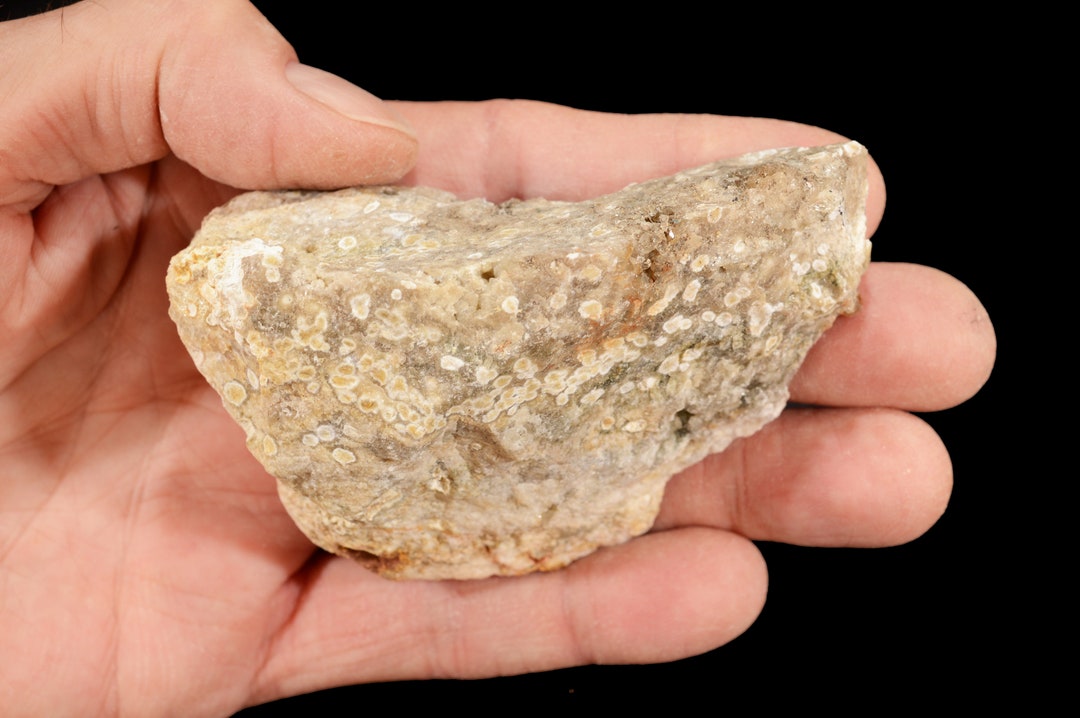 Script Jasper SCRIPT FOSSIL JASPER 3 1/2