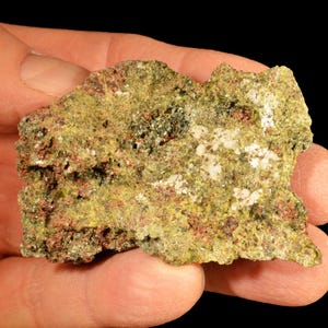 May include: A rough, irregularly shaped rock fragment with a textured surface. The rock displays a mix of colors, including green, red, and white, with a speckled appearance. The rock is held in a hand against a black background.