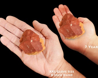 RED MOOKAITE JASPER 3 1/2" 8-12 Oz Raw Extra Large Rock Mineral Natural Specimen Rough Root Chakra Crystal Reiki xx