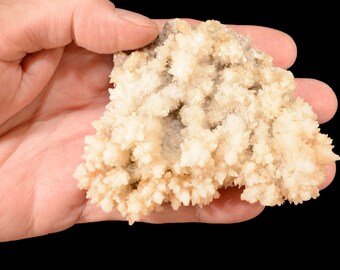 May include: A cluster of light-coloured crystals, possibly quartz or a similar mineral, held in a hand against a black background. The crystals have a spiky, textured appearance, with varying shades of beige and off-white. The overall shape is irregular and natural.