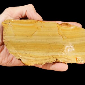 PICTURE JASPER 6&quot; x 3&quot; 2 Lb 5 Oz (Sku 21) Wild Horse Owyhee Lapidary Rough Rock Mineral Third Eye Raw Chakra Crystal Stone Specimen