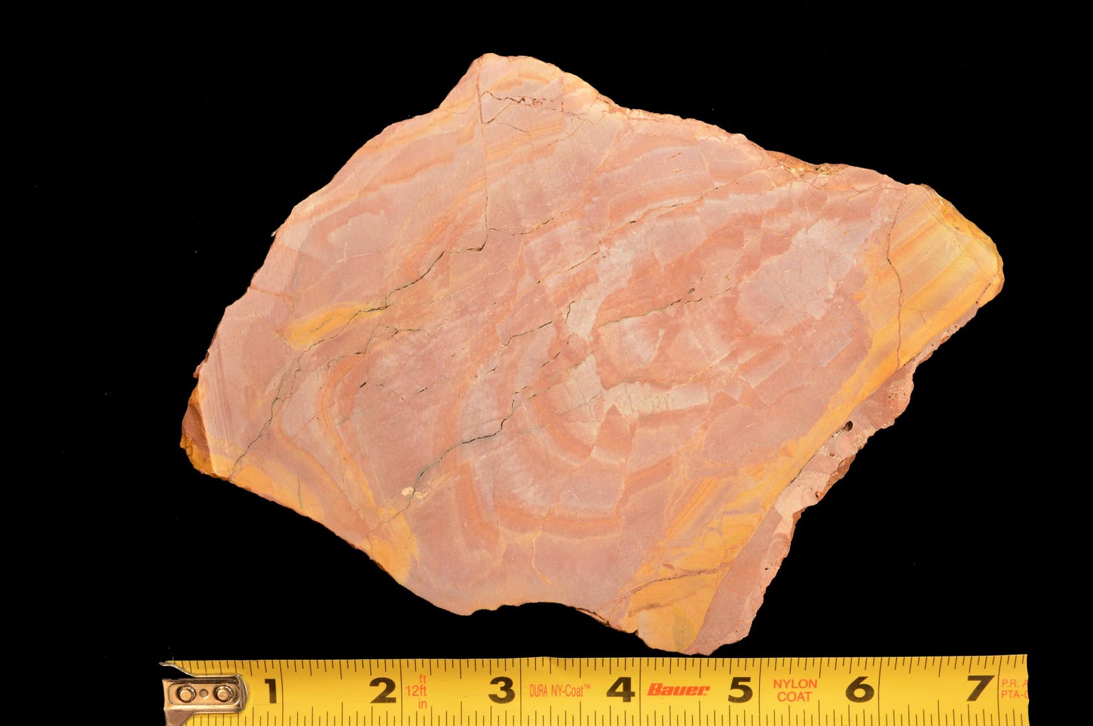 RARE BANDED RHYOLITE 7