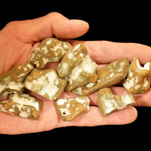 May include: A hand holds a collection of small, irregularly shaped stones. The stones are primarily tan with white and cream-colored marbling. The background is solid black, highlighting the stones' textures and colors.