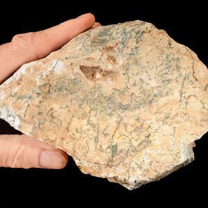 May include: A close-up of a light brown and green rock with a rough, uneven surface. The rock has a unique pattern of green veins running through it.