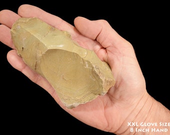 GREEN PICTURE JASPER 5" 1-2 Lb Wild Horse Owyhee Rough Natural Rock Mineral Third Eye Raw Chakra Crystal Stones Specimen Reiki xx