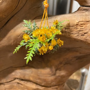 Miniature Fairy Garden Hanging Flower Baskets