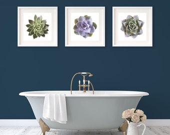 Plant art bathroom prints - Contemporary living room decor print set