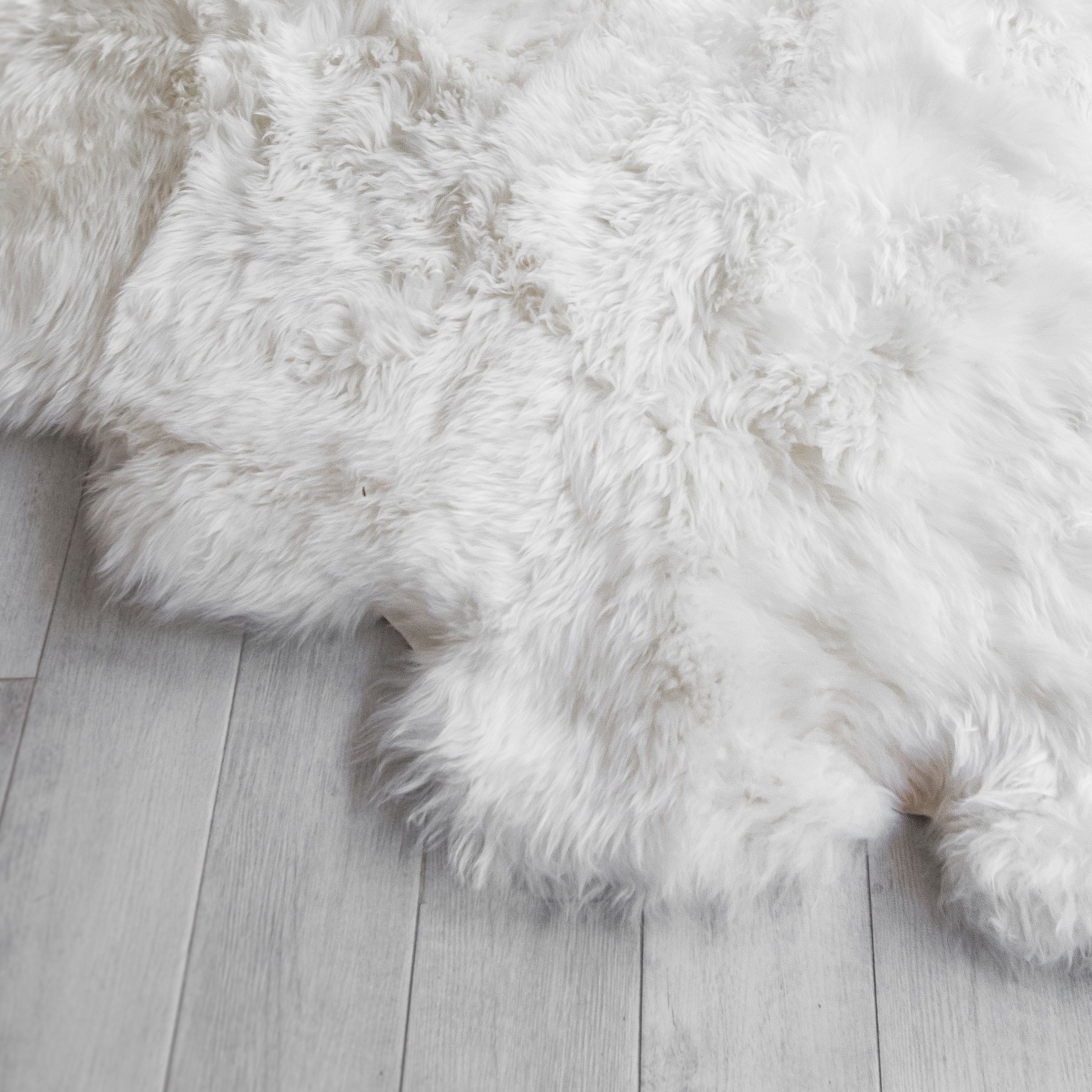 Large Sheepskin Rug Genuine New Zealand 3 X 6ft Etsy