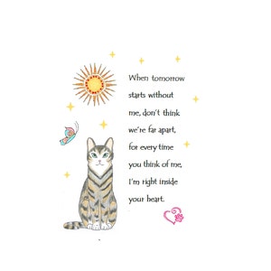 Cat Sympathy Card, scegli tra Tabby Cat, Black and White Cat, Bengal Cat Card, Maine Coon Cat