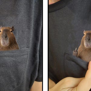 Camisa divertida de capibara - humor capibara bolsillo oculto del dedo medio - camiseta de capibara idea de regalo única - camiseta divertida de capibara imagen 3