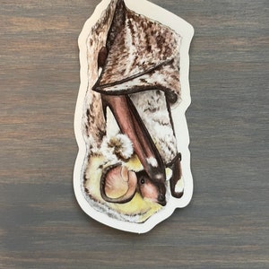 May include: A sticker featuring a detailed watercolor illustration of a bat hanging upside down. The bat has brown and white fur, with a yellow and pink face. The sticker is die-cut with a white border.