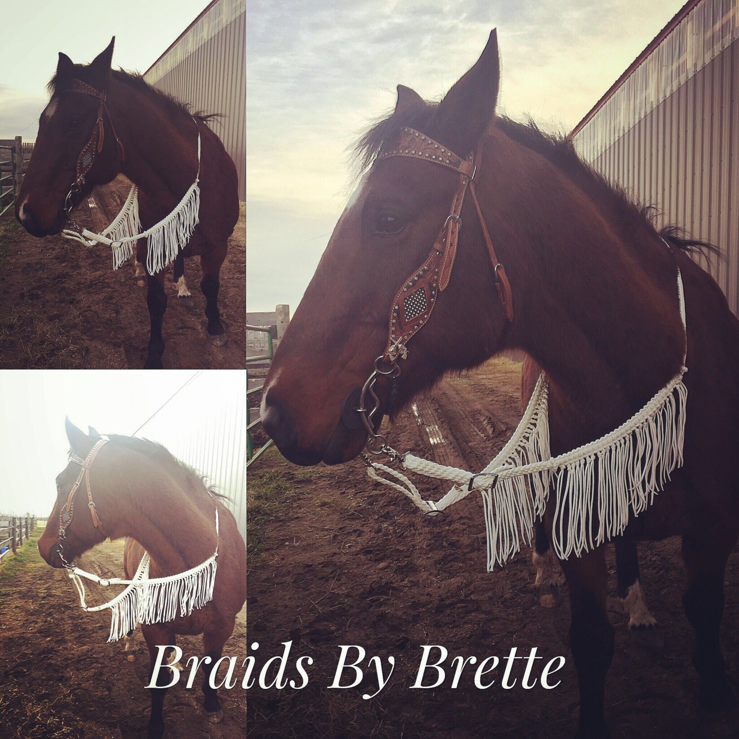 Horse tack Barrel Racing Reins Fringe Reins Solid White Etsy