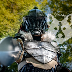 Adventure - Silverdog Cosplay Print
