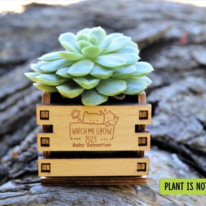 Mini pot for Succulent Favors Baby Shower, Baby Shower Gifts, Personalized Baby Shower Favors for Guests, Baby Shower Party • AA056