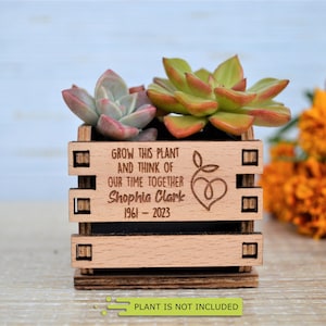 Funeral favors, for guests to Remember a loved one. Celebration of life favors, Memorial gift, Sympathy gift Succulent plant • AA051
