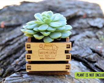 Mini pot for Succulent Favors Baby Shower, Baby Shower Gifts, Personalized Baby Shower Favors for Guests, Baby Shower Party • AA056