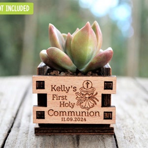 Engraved mini pots, personalized, used for first communion and parties. Made of wood. With a succulent plant, on a wooden table. Used for first communion party favors