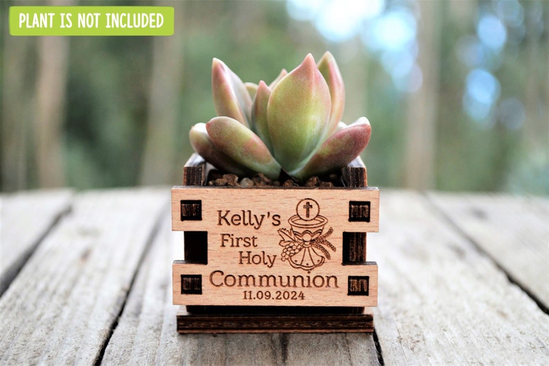 Engraved mini pots, personalized, used for first communion and parties. Made of wood. With a succulent plant, on a wooden table. Used for first communion party favors