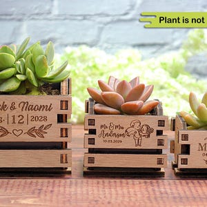 Mini vasi per piante personalizzati – bomboniere rustiche per matrimoni, ricordi unici per gli ospiti all'ingrosso, regali di piante personalizzati, decorazioni per matrimoni ecologiche • Regno Unito