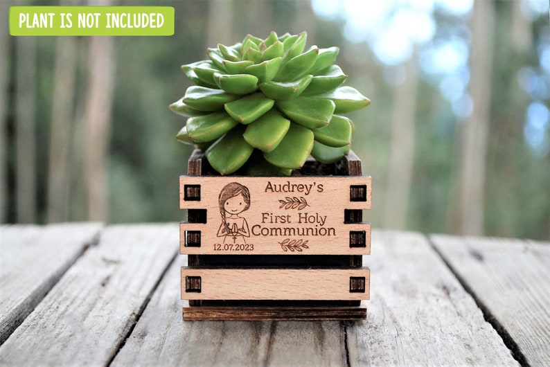 Engraved mini pots, personalized, used for first communion and parties. Made of wood. With a succulent plant, on a wooden table. Used for first communion party favors