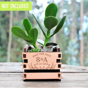 Puede incluir: Maceta de madera con un mensaje "Save the Date", las iniciales "S&A" y la fecha "07.09.2024". La maceta está decorada con un diseño floral y tiene una pequeña planta suculenta dentro.