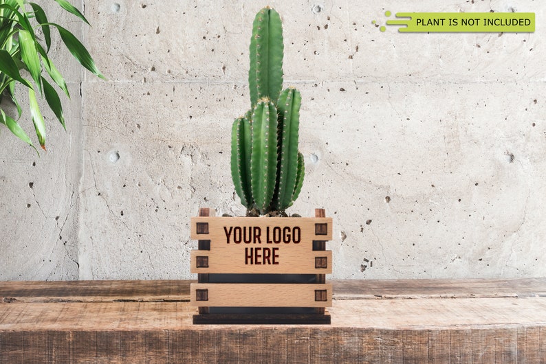 Bulk Christmas Gifts, Mini Flower Pot, Realtor Closing Gift, Employee