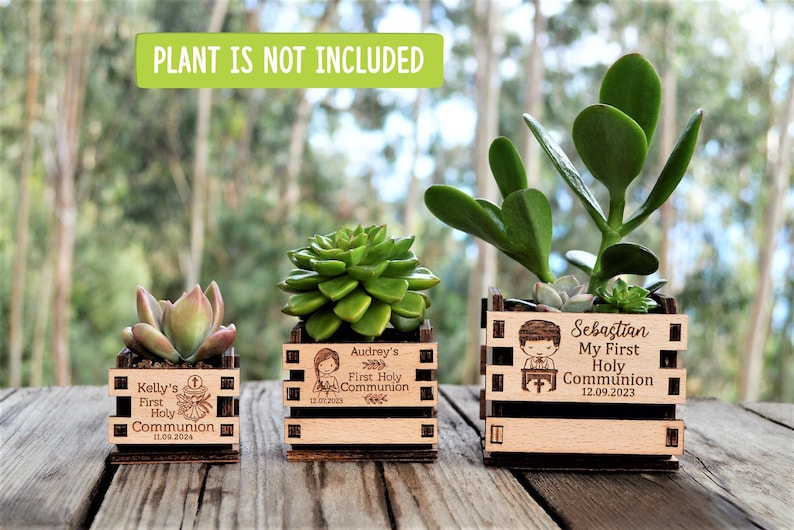 Engraved mini pots, personalized, used for first communion and parties. Made of wood. With a succulent plant, on a wooden table. Used for first communion party favors