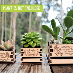 Engraved mini pots, personalized, used for first communion and parties. Made of wood. With a succulent plant, on a wooden table. Used for first communion party favors