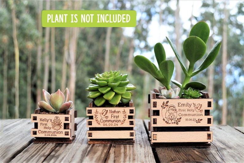 Engraved mini pots, personalized, used for first communion and parties. Made of wood. With a succulent plant, on a wooden table. Used for first communion party favors