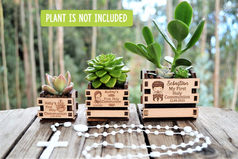 Engraved mini pots, personalized, used for first communion and parties. Made of wood. With a succulent plant, on a wooden table. Used for first communion party favors