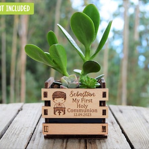 Engraved mini pots, personalized, used for first communion and parties. Made of wood. With a succulent plant, on a wooden table. Used for first communion party favors