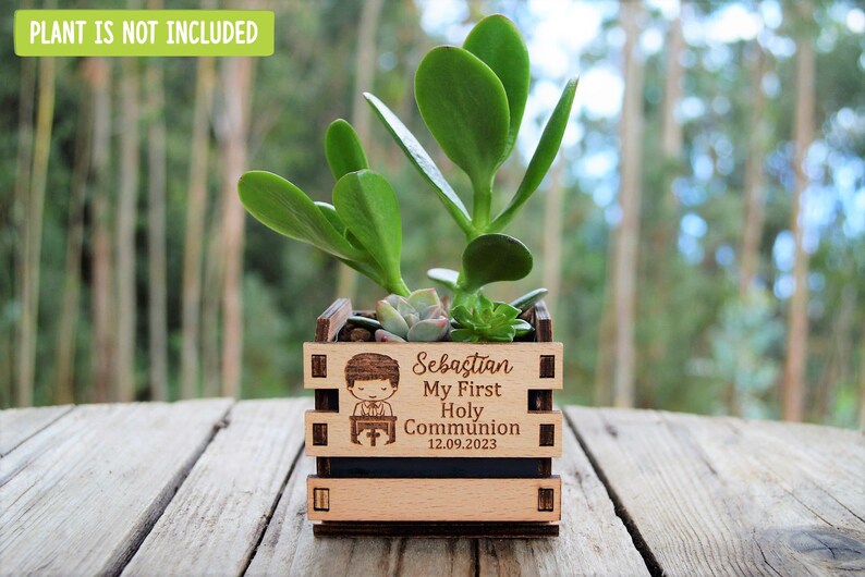 Engraved mini pots, personalized, used for first communion and parties. Made of wood. With a succulent plant, on a wooden table. Used for first communion party favors