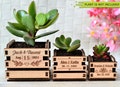 Personalized Mini pot for succulent wedding favors - wedding shower favors • AA067 product logo