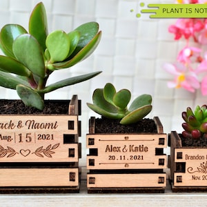 Engraved personalized mini pots, used for wedding favors, rustic style wedding decorations and your home. It is made of wood, with a succulent plant on a wooden table decorated with flowers. An excellent gift for guests and all your loved ones.