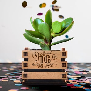 Sweet 16 Party Favors, Unique Sweet 16 Birthday gift, Party decor, Quinceanera Party Favors, Personalized Mini pot for succulent  •  AA234