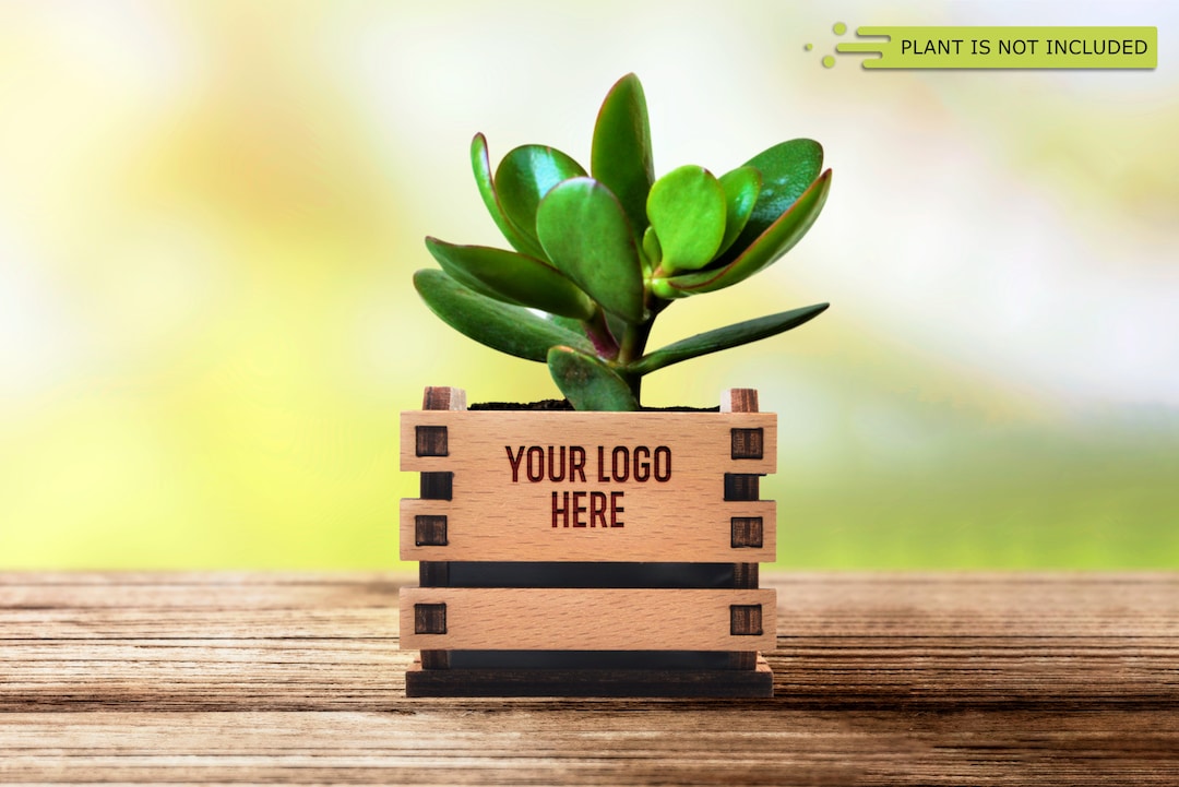 Bulk Christmas Gifts, Mini Flower Pot, Realtor Closing Gift, Employee