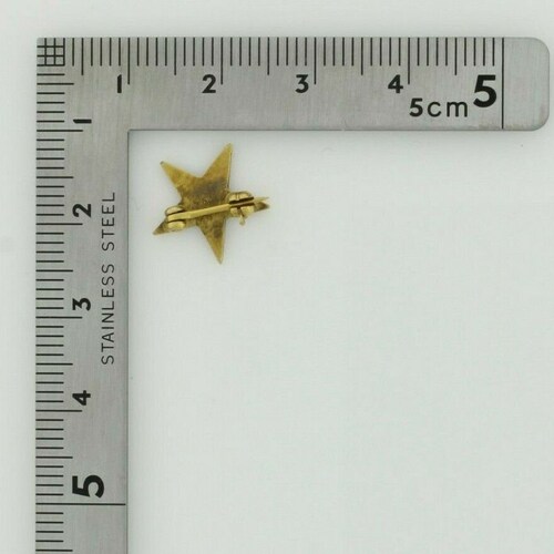 Store 10K Yellow Gold Eastern Star Enameled Pin