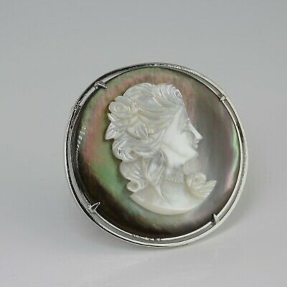 Mother of Pearl Abalone Carved Cameo - image 5