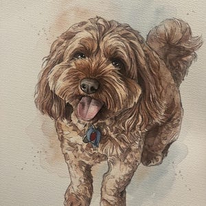 Puede incluir: Una pintura a la acuarela de un perro marr&oacute;n de pelo rizado que mira hacia arriba con la lengua fuera. El perro tiene ojos oscuros, nariz negra y lleva una placa de identificaci&oacute;n azul y roja. El fondo es papel texturizado de color blanco roto.
