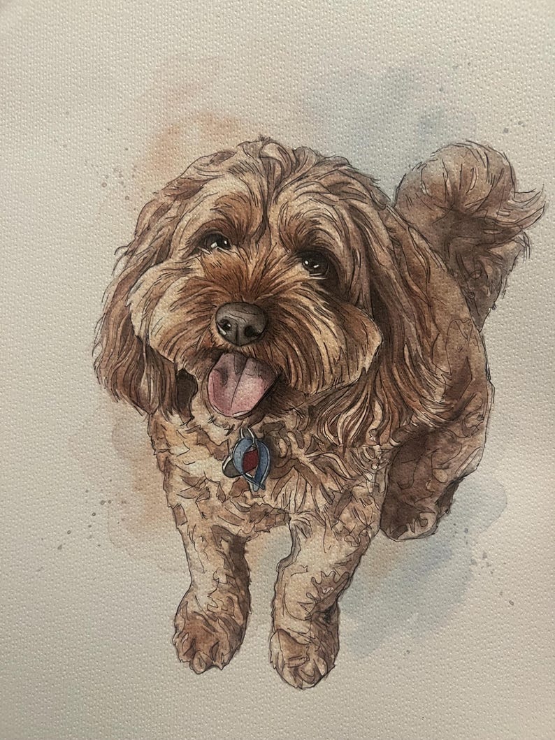 Puede incluir: Una pintura a la acuarela de un perro marr&oacute;n de pelo rizado que mira hacia arriba con la lengua fuera. El perro tiene ojos oscuros, nariz negra y lleva una placa de identificaci&oacute;n azul y roja. El fondo es papel texturizado de color blanco roto.