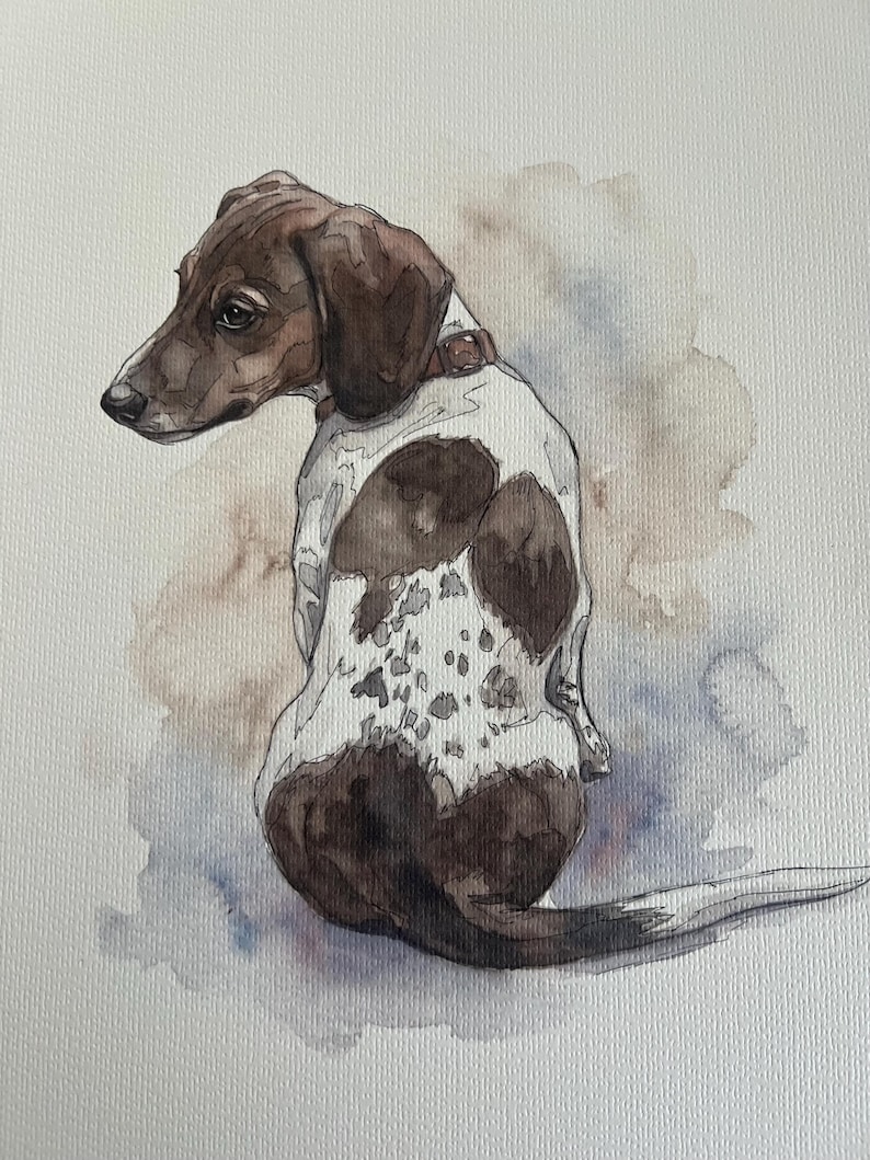 Puede incluir: Una pintura a la acuarela de un perro peque&ntilde;o con pelaje manchado de color marr&oacute;n y blanco. El perro est&aacute; sentado mirando hacia la izquierda y lleva un collar marr&oacute;n. El fondo presenta suaves lavados de pintura marr&oacute;n y azul sobre papel texturizado.