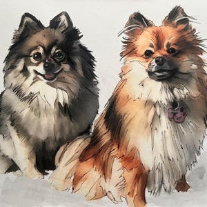 Individuelles Aquarell-Haustierporträt, Hundeporträt nach Foto, personalisiertes Erinnerungsgeschenk für Hunde im Rahmen, Haustiergemälde Bild 14