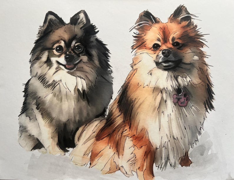 Individuelles Aquarell-Haustierporträt, Hundeporträt nach Foto, personalisiertes Erinnerungsgeschenk für Hunde im Rahmen, Haustiergemälde Bild 14