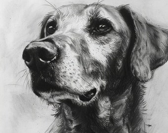 Portrait de chien au fusain, portrait de chien personnalisé, animal de compagnie au fusain personnalisé, portrait de chien, dessin de chien