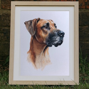 Retrato de mascota en acuarela personalizado, retrato de perro a partir de una foto, regalo conmemorativo personalizado para perros enmarcado, pintura de mascotas