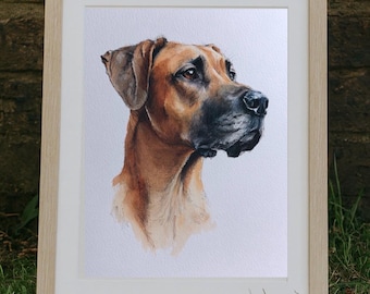 Individuelles Aquarell-Haustierporträt, Hundeporträt nach Foto, personalisiertes Erinnerungsgeschenk für Hunde im Rahmen, Haustiergemälde