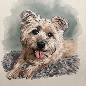 Individuelles Aquarell-Haustierporträt, Hundeporträt nach Foto, personalisiertes Erinnerungsgeschenk für Hunde im Rahmen, Haustiergemälde Bild 5