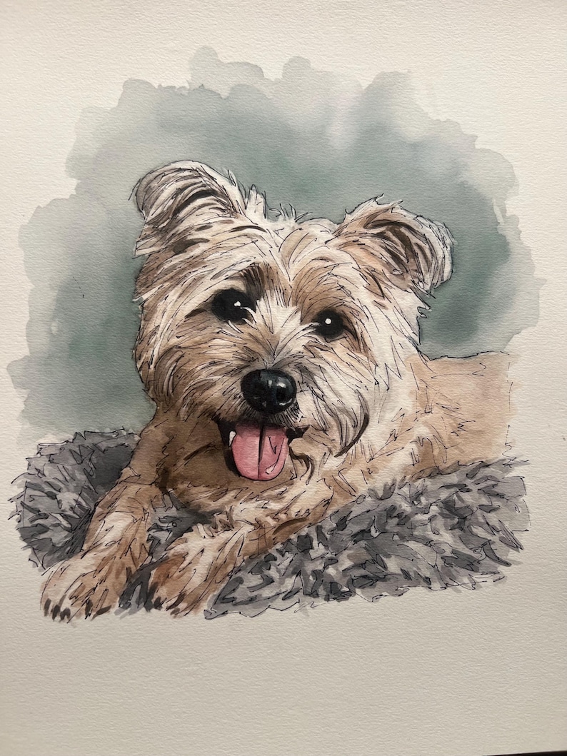Individuelles Aquarell-Haustierporträt, Hundeporträt nach Foto, personalisiertes Erinnerungsgeschenk für Hunde im Rahmen, Haustiergemälde Bild 5
