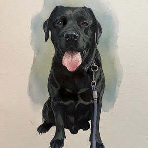 Individuelles Aquarell-Haustierporträt, Hundeporträt nach Foto, personalisiertes Erinnerungsgeschenk für Hunde im Rahmen, Haustiergemälde Bild 8
