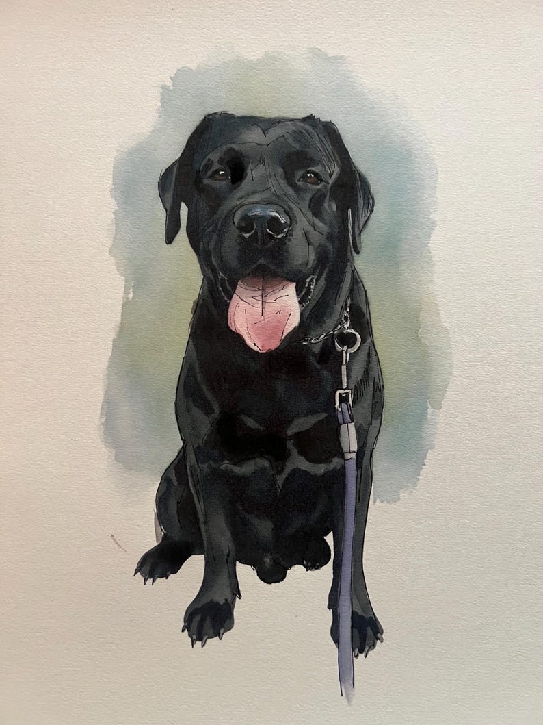 Individuelles Aquarell-Haustierporträt, Hundeporträt nach Foto, personalisiertes Erinnerungsgeschenk für Hunde im Rahmen, Haustiergemälde Bild 8